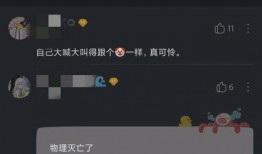 2.4内鬼最新爆料,2.4事件背后惊人真相揭露