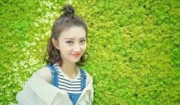 爆料重庆花姐视频大全最新,视频大全背后的故事与真相