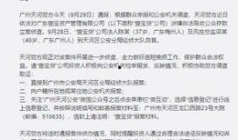 赵县爆料最新案件通报,案情揭秘，警方全力侦破