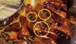 陕西火锅店爆料案件最新,揭开食品安全与经营乱象黑幕