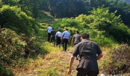 四川屏山爆料案件最新,真相逐步浮出水面