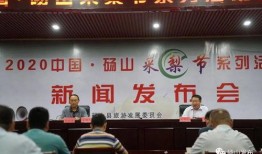 砀山最新事件爆料新闻报道,揭秘突发事件背后的真相