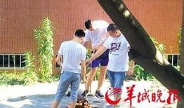 汕头记者爆料新闻最新消息,揭秘某重大事件背后真相