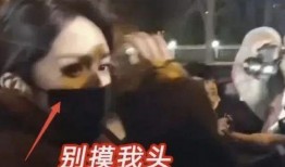 羊村最新爆料事件视频,揭秘神秘事件视频背后的惊人真相