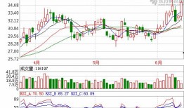 杉杉股份爆料最新消息,揭秘公司重大战略布局与未来发展动向