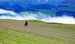 新疆景区爆料事件最新,揭秘背后真相与游客权益保护挑战