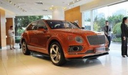 最新爆料出什么车,科技与性能的完美融合